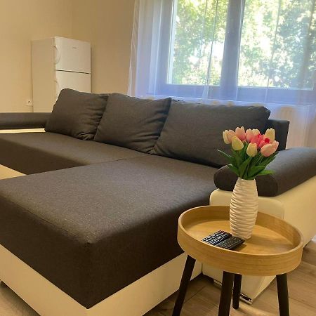 Tulipan Apartman Makó Eksteriør billede