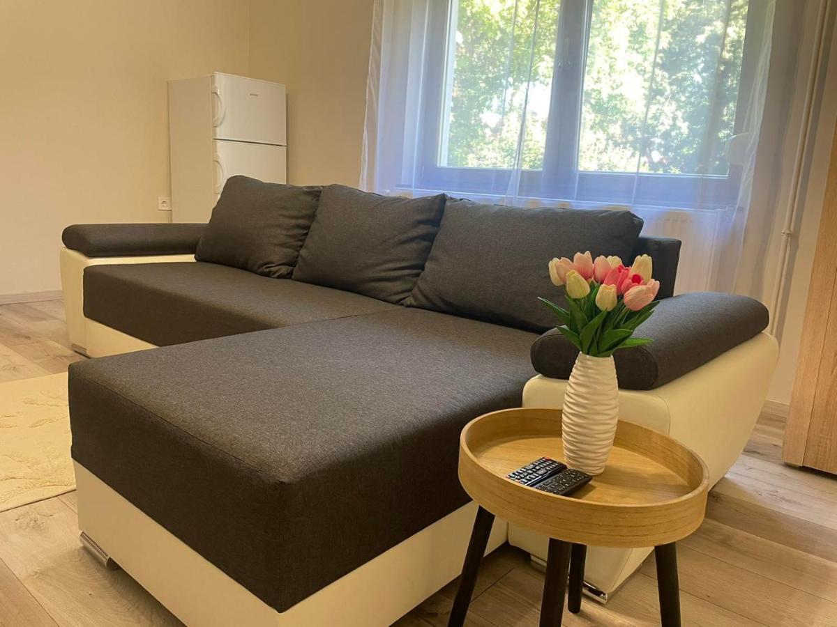 Tulipan Apartman Makó Eksteriør billede