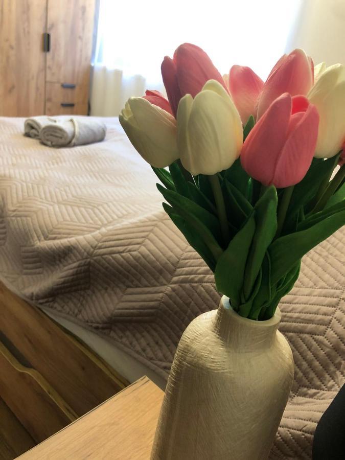 Tulipan Apartman Makó Eksteriør billede